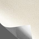 Papel De Parede Lavável 10,00 X 0,53 M (piacere Sette)