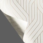 Papel De Parede Lavável 10,00 X 0,53 M (strisce Quattro)