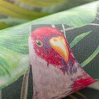 Papel De Parede Lavável 10,00 X 0,53 M (tropicale Uno)