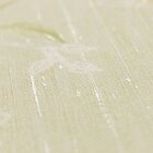 Papel De Parede Lavável 10x0,53 M (fiori Quindici)