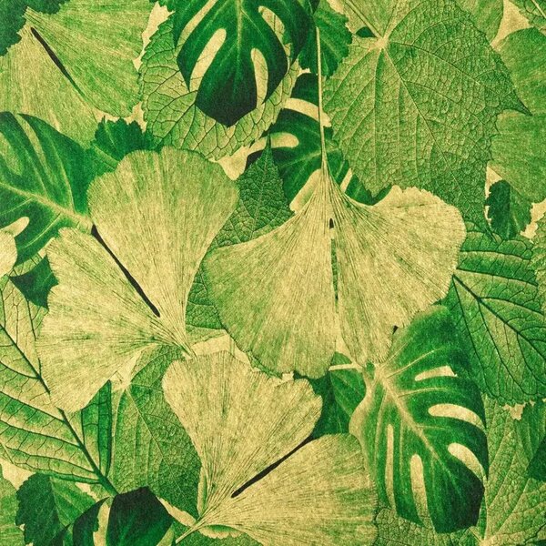 Papel De Parede Lavável 10x0,53cm Tropicale Due - Caixa Com 5