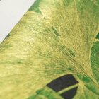 Papel De Parede Lavável 10x0,53cm Tropicale Due - Caixa Com 5