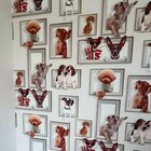 Papel De Parede Lavável 10x1,06cm Allegro Uno - Caixa Com 10,