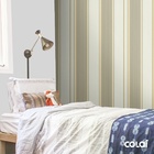 Papel De Parede Lavável Listrado Verde E Amarelo 12m