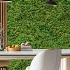 Papel De Parede Lavável Musgo De Rena Verde Área Externa 15m