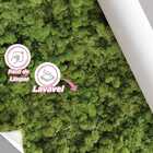Papel De Parede Lavável Musgo De Rena Verde Área Externa 6m