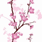 Papel De Parede Lavável Rosa Do Deserto Fundo Branco 6m