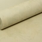 Papel De Parede Liso Bege Esverdeado