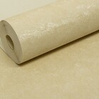 Papel De Parede Liso Nude