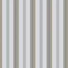 Papel De Parede Listrado Pplis073