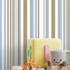 Papel De Parede - Listras Modelo 036 - 60x300cm