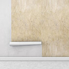 Papel De Parede Modelo Concreto Riscado Em Tons Bege