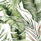 Papel De Parede Natura Bananeira