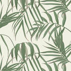 Papel De Parede Natura Palmeiras