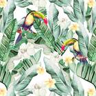 Papel De Parede Natura Tropical