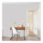 Papel De Parede Natural Forest 0.53x10m Cinza Nf3006 Abdalla