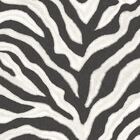 Papel De Parede Natural Fx 2 Animal Print Preto G67491
