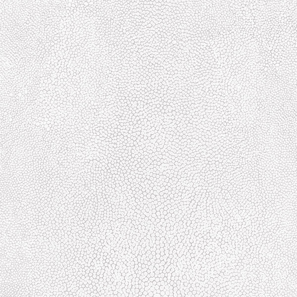 Papel De Parede Natural Fx Lizard Skin G67472 - Rolo: 10m X 0
