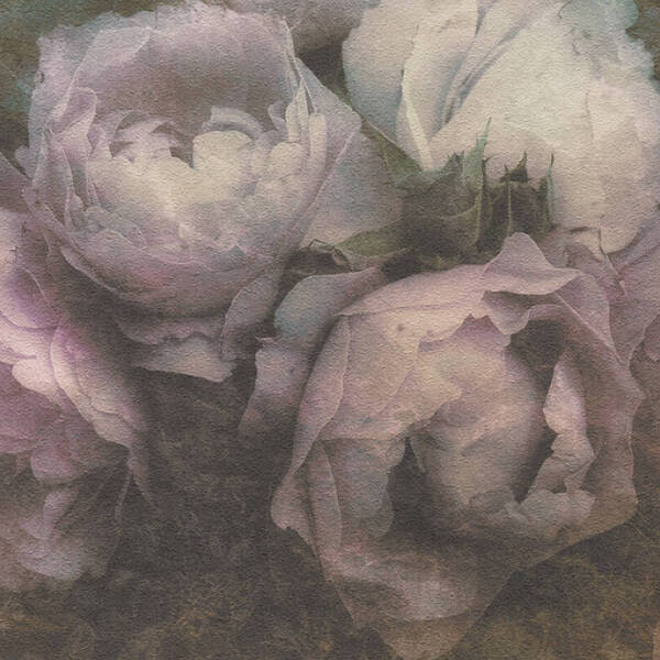 Papel De Parede New Walls 373922 - Rolo: 10m X 0,53m