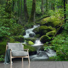 Papel De Parede Paisagem Cachoeira Natureza Sala Painel - 003