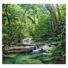 Papel De Parede Paisagem Cachoeira Natureza Sala Painel - 010