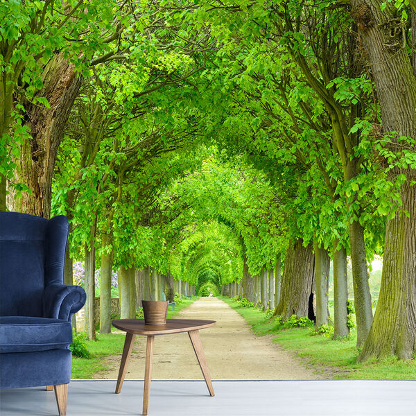 Papel De Parede Paisagem Caminho Natureza Sala Adesivo - 067p