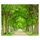 Papel De Parede Paisagem Caminho Natureza Sala Adesivo - 067p