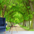 Papel De Parede Paisagem Caminho Natureza Sala Painel - 067pcp