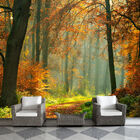 Papel De Parede Paisagem Floresta Natureza Sala Adesivo - 055