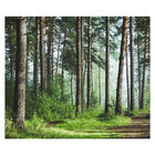 Papel De Parede Paisagem Floresta Natureza Sala Adesivo - 057