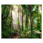 Papel De Parede Paisagem Floresta Natureza Sala Adesivo - 058