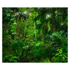 Papel De Parede Paisagem Floresta Natureza Sala Adesivo - 072