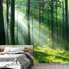 Papel De Parede Paisagem Floresta Natureza Sala Adesivo - 075