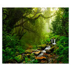 Papel De Parede Paisagem Floresta Natureza Sala Adesivo - 098