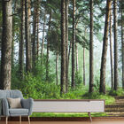 Papel De Parede Paisagem Floresta Natureza Sala Painel - 057p