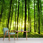 Papel De Parede Paisagem Floresta Natureza Sala Painel - 061p