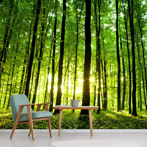 Papel De Parede Paisagem Floresta Natureza Sala Painel - 061p