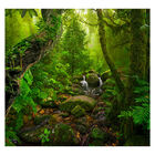 Papel De Parede Paisagem Floresta Natureza Sala Painel - 089p