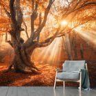 Papel De Parede Paisagem Floresta Natureza Sol Sala Adesivo -