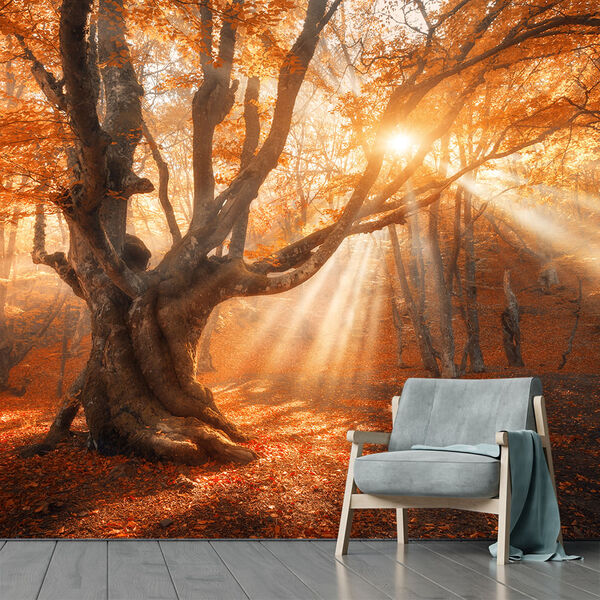 Papel De Parede Paisagem Floresta Natureza Sol Sala Adesivo -