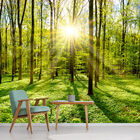 Papel De Parede Paisagem Floresta Natureza Sol Sala Adesivo -