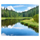 Papel De Parede Paisagem Lago Natureza Sala Adesivo - 045pcm