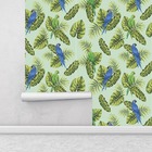 Papel De Parede Papagaio Rolo De 0 60 X 3 00