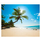 Papel De Parede Praia Paisagem Coqueiro Mar Sala Adesivo - 12