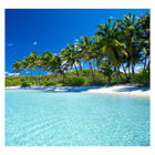 Papel De Parede Praia Paisagem Coqueiro Mar Sala Painel - 127