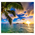 Papel De Parede Praia Paisagem Coqueiro Natureza Sala Painel