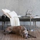 Papel De Parede Riviera Maison Botanical Bliss 219910 - Rolo: