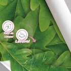 Papel De Parede Selvagem Folhas Verdes Amazônia 12m