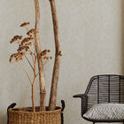 Papel De Parede Siroc Savannah 376004