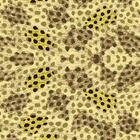 Papel De Parede Textura Manchas